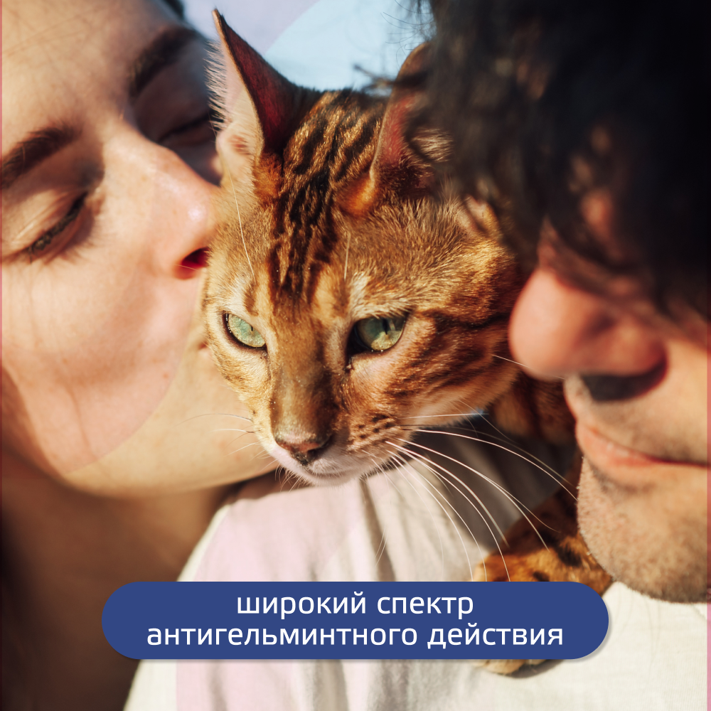 Антигельминтик для кошек KRKA Милпразон, 2 таблетки