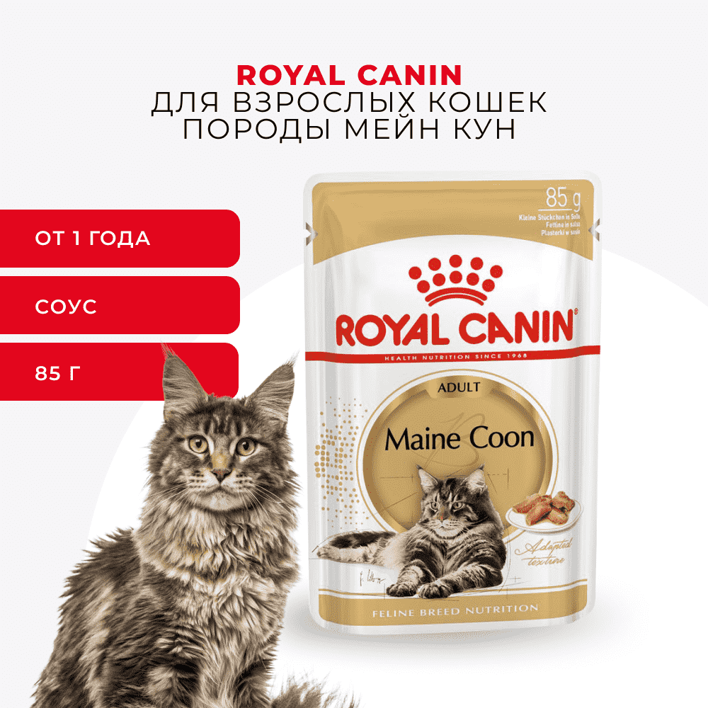 Корм для кошек ROYAL CANIN Maine Coon Adult для породы Мэйн Кун, мясо в соусе пауч