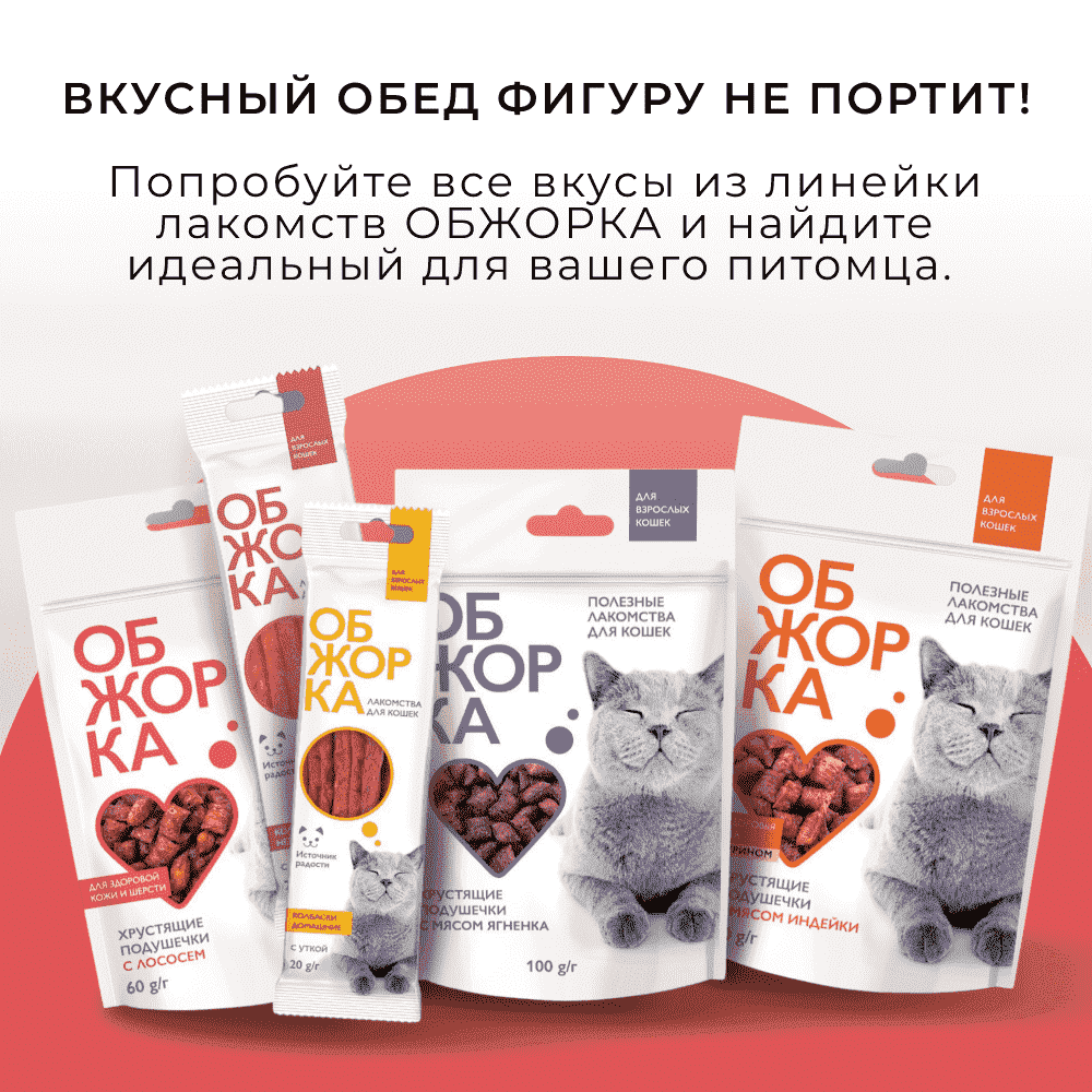Лакомство для кошек ОБЖОРКА Хрустящие подушечки с лососем для здоровья шерсти