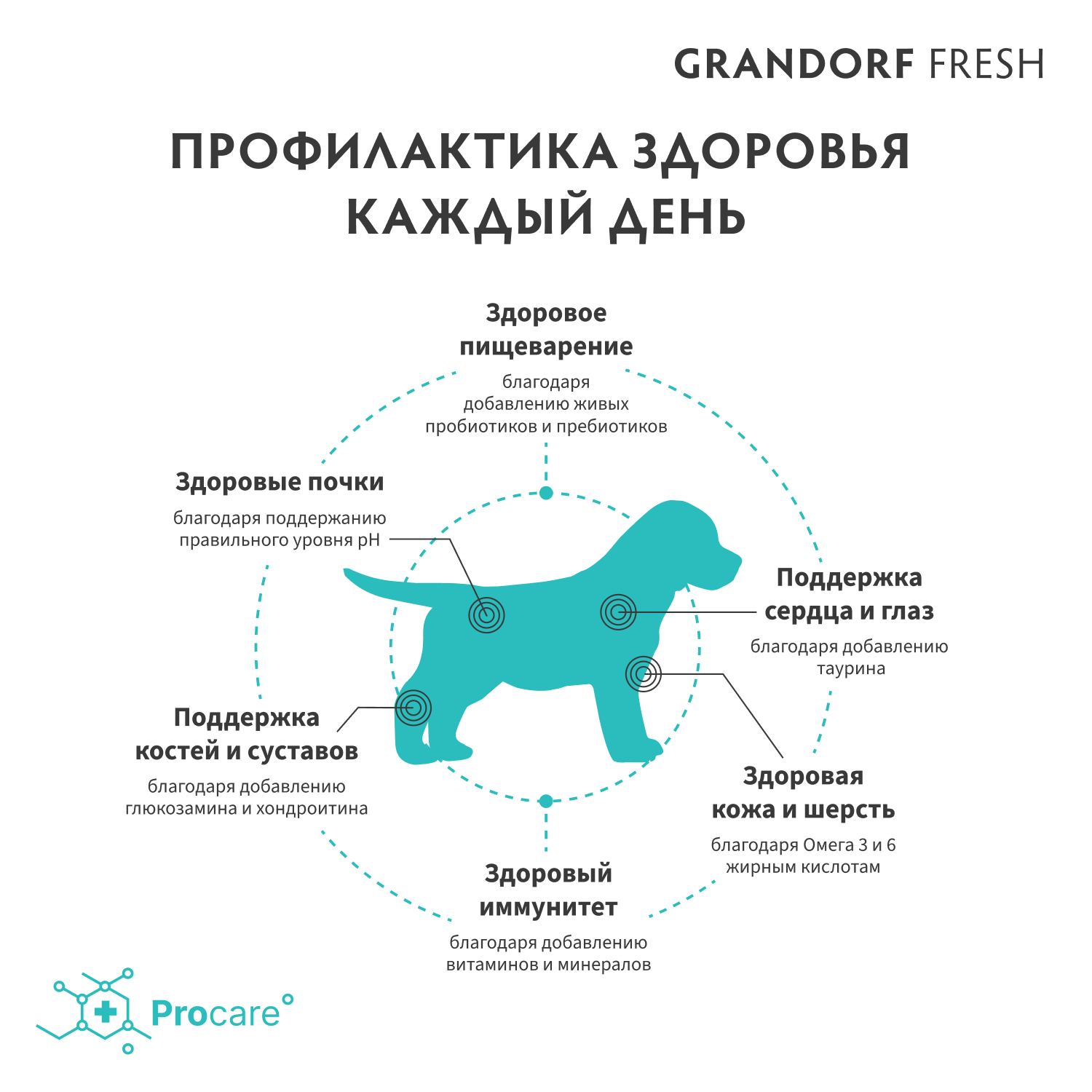 Беззерновой корм с живыми пробиотиками для щенков GRANDORF Fresh Dog Свежее мясо ягненка с бататом сух.