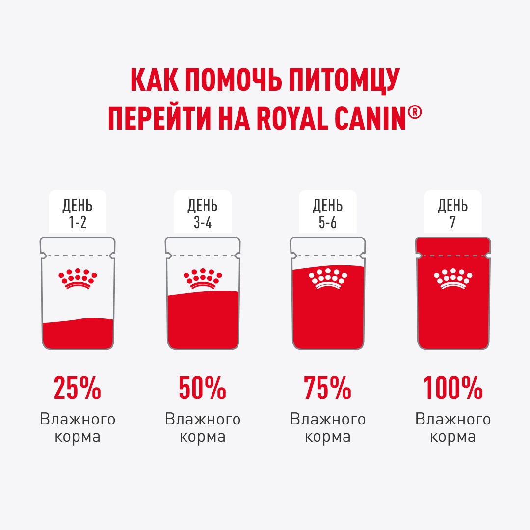 Корм для котят ROYAL CANIN Maine Coon для породы Мэйн Кун, кусочки в соусе пауч