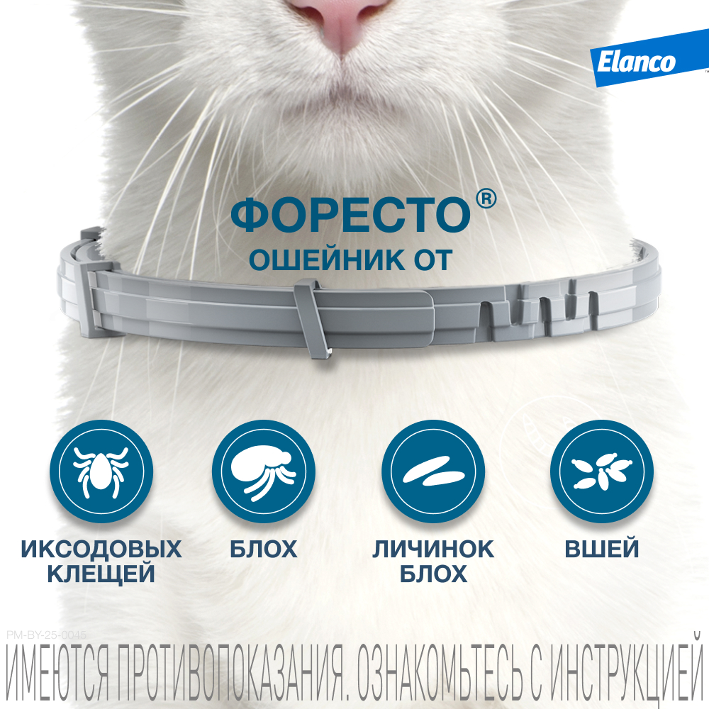 Ошейник для кошек ELANCO Форесто от клещей, блох и вшей, защита 8 месяцев