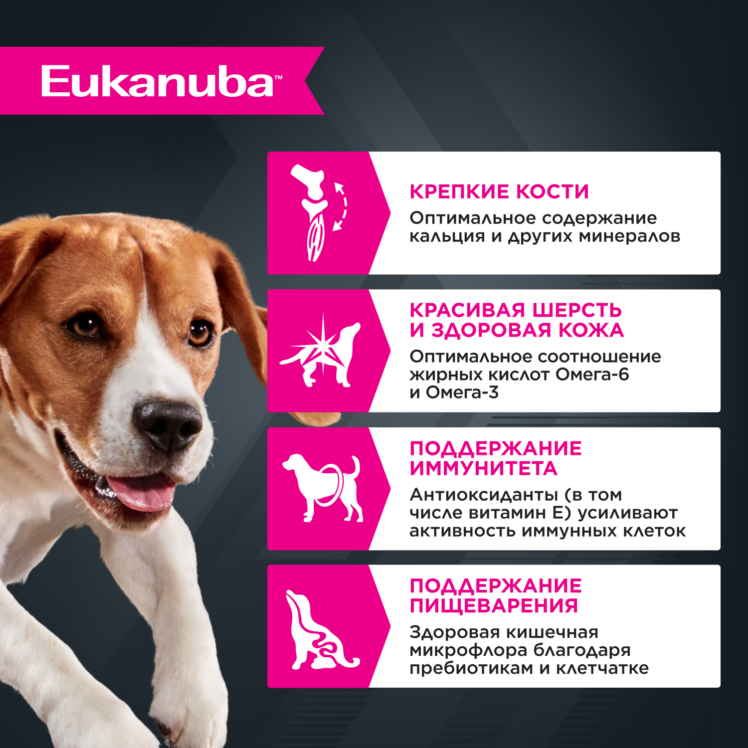 Корм для собак EUKANUBA ягненок в соусе пауч