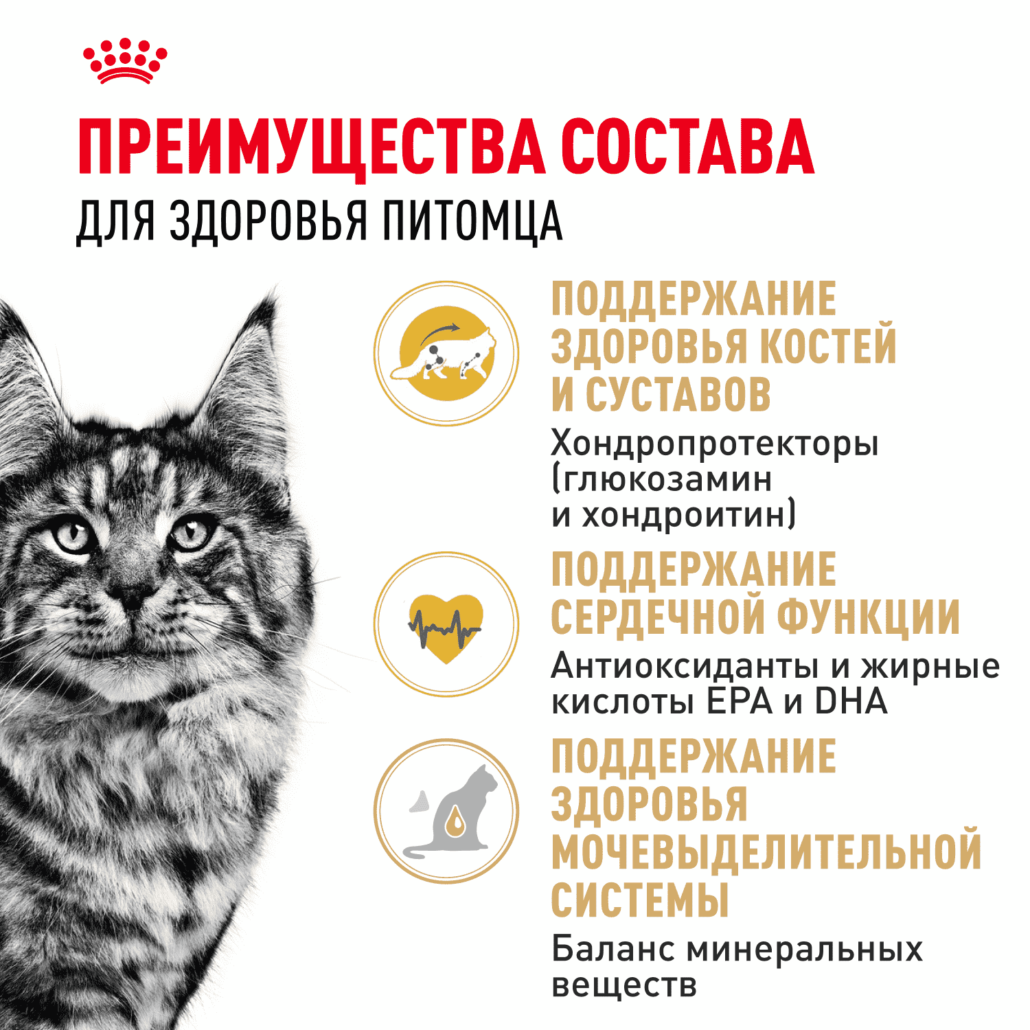 Корм для кошек ROYAL CANIN Maine Coon сбалансированный для породы мэйн кун сух.