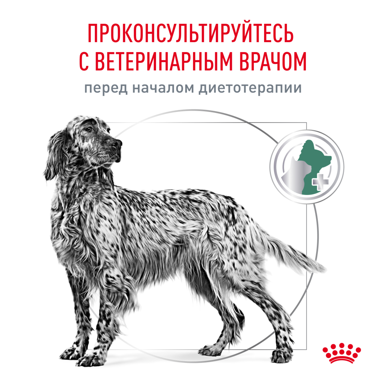 Корм для собак ROYAL CANIN Diabetic DS 37 Canine при сахарном диабете сух.