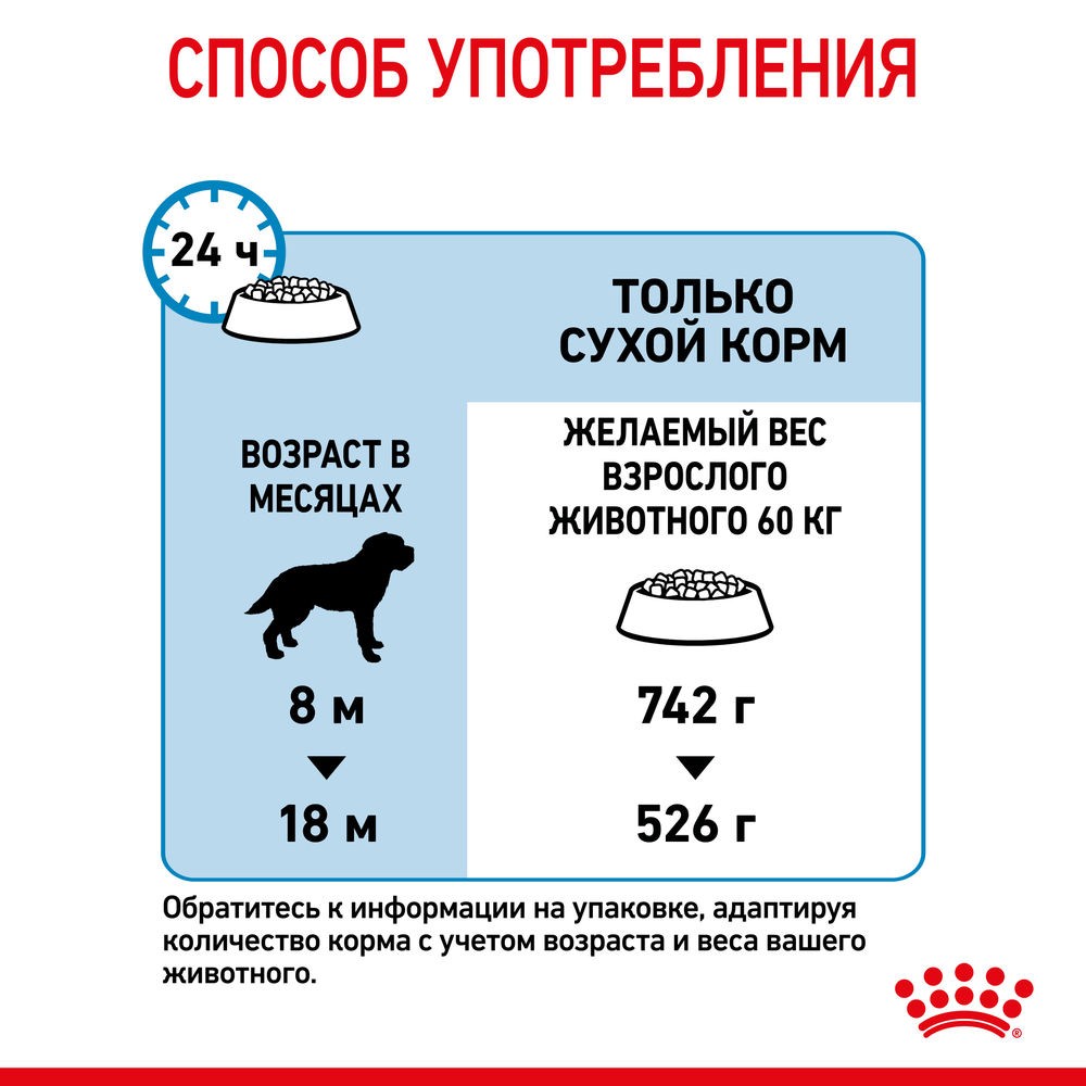 Купить Корм для щенков ROYAL CANIN Giant Junior для очень крупных пород от  8 месяцев сух. в Бетховен