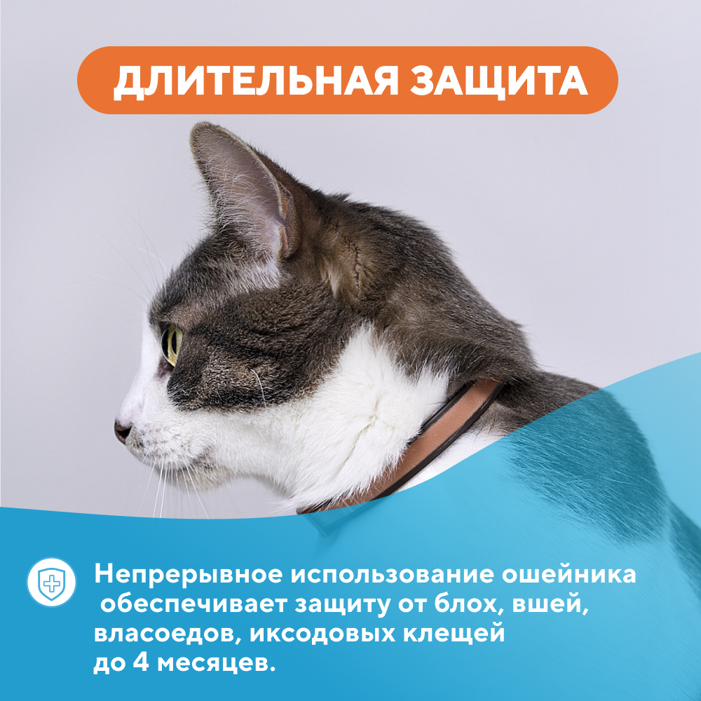 Ошейник АВЗ БАРС от блох и клещей для кошек