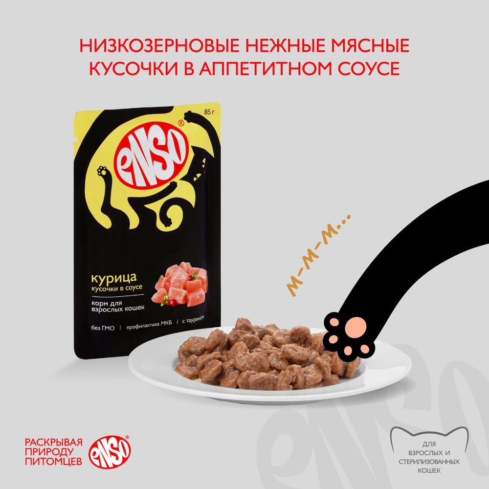 Корм для кошек ENSO кусочки в соусе с курицей пауч