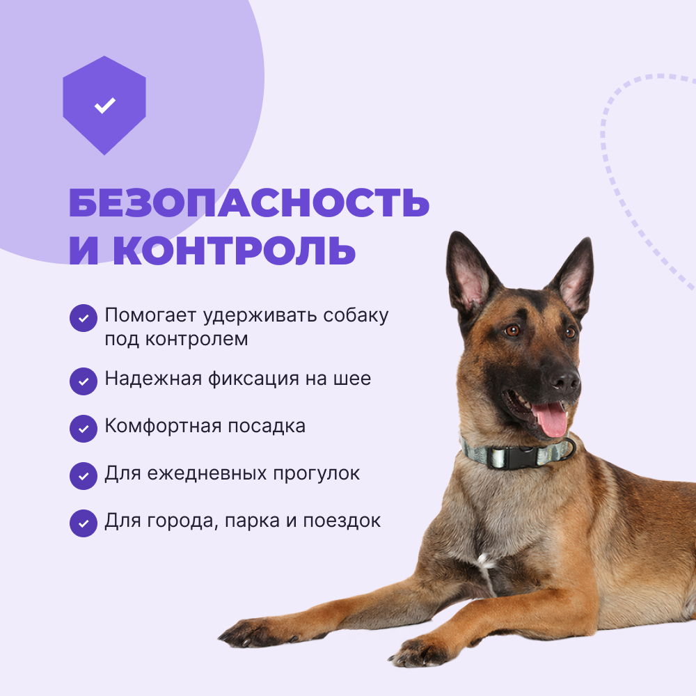 Ошейник для собак FOXIE Snow tree L 2,5х40-55см разноцветный