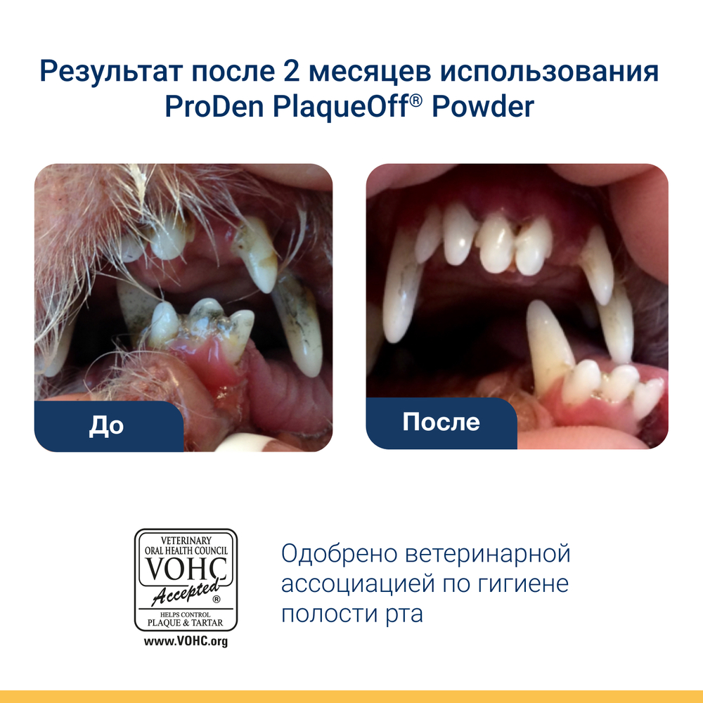 Средство ProDen PlaqueOff для профилактики зубного камня у кошек 40г