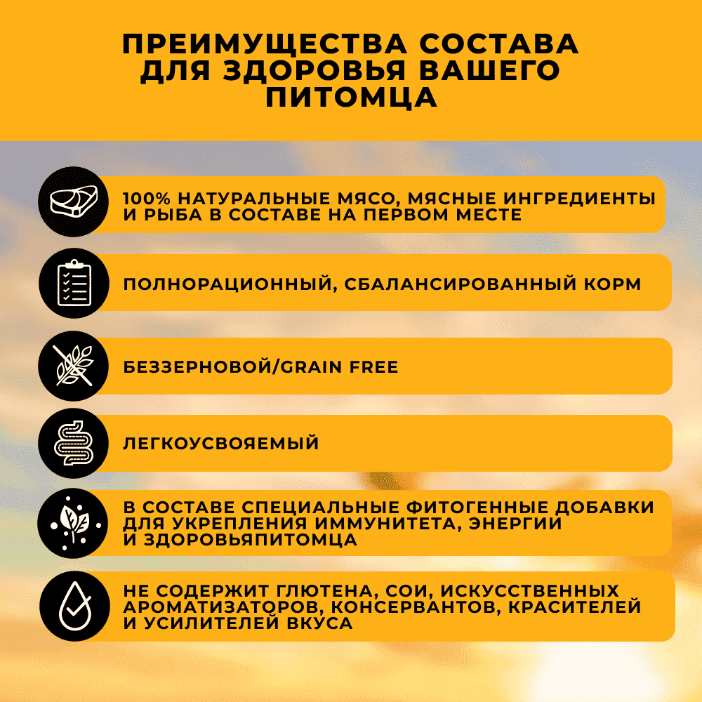 Корм для котят MORE курица в соусе пауч