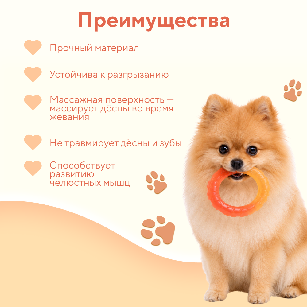 Игрушка для собак FOXIE Кольцо градиентное 11,5х2см