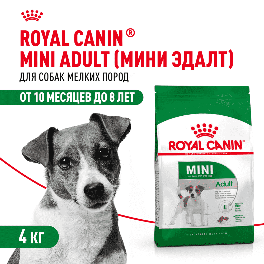 Корм для собак ROYAL CANIN Mini Adult для мелких пород от 10 месяцев сух.