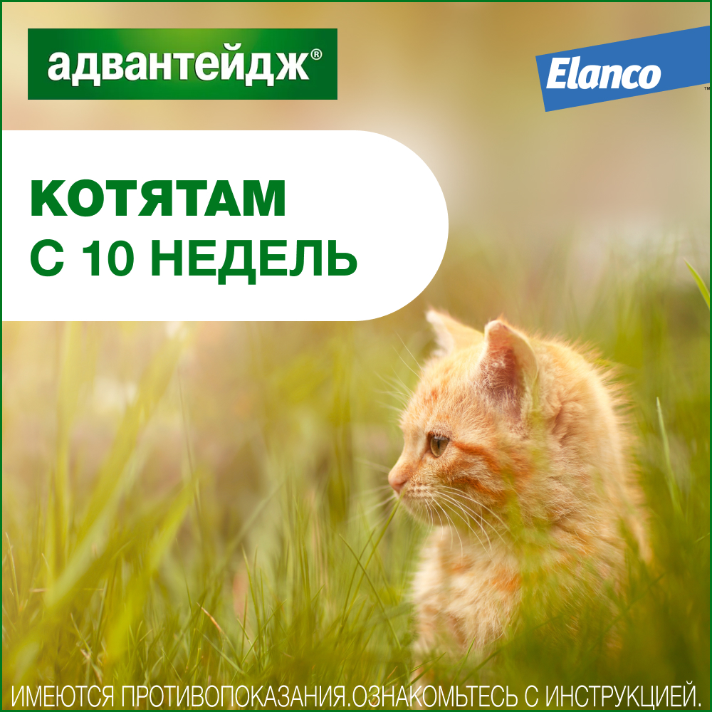 Капли для котят и кошек ELANCO Адвантейдж от блох  (до 4кг), 1 пипетка в упаковке 0,4мл