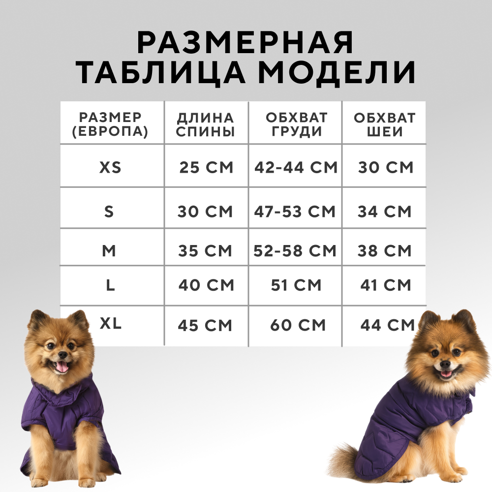 Попона для собак FOXIE Zigzag фиолетовая