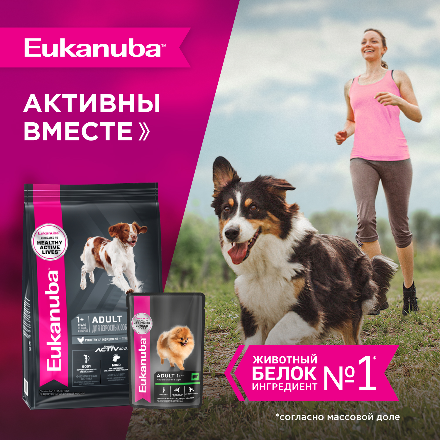 Корм для собак EUKANUBA говядина в соусе пауч