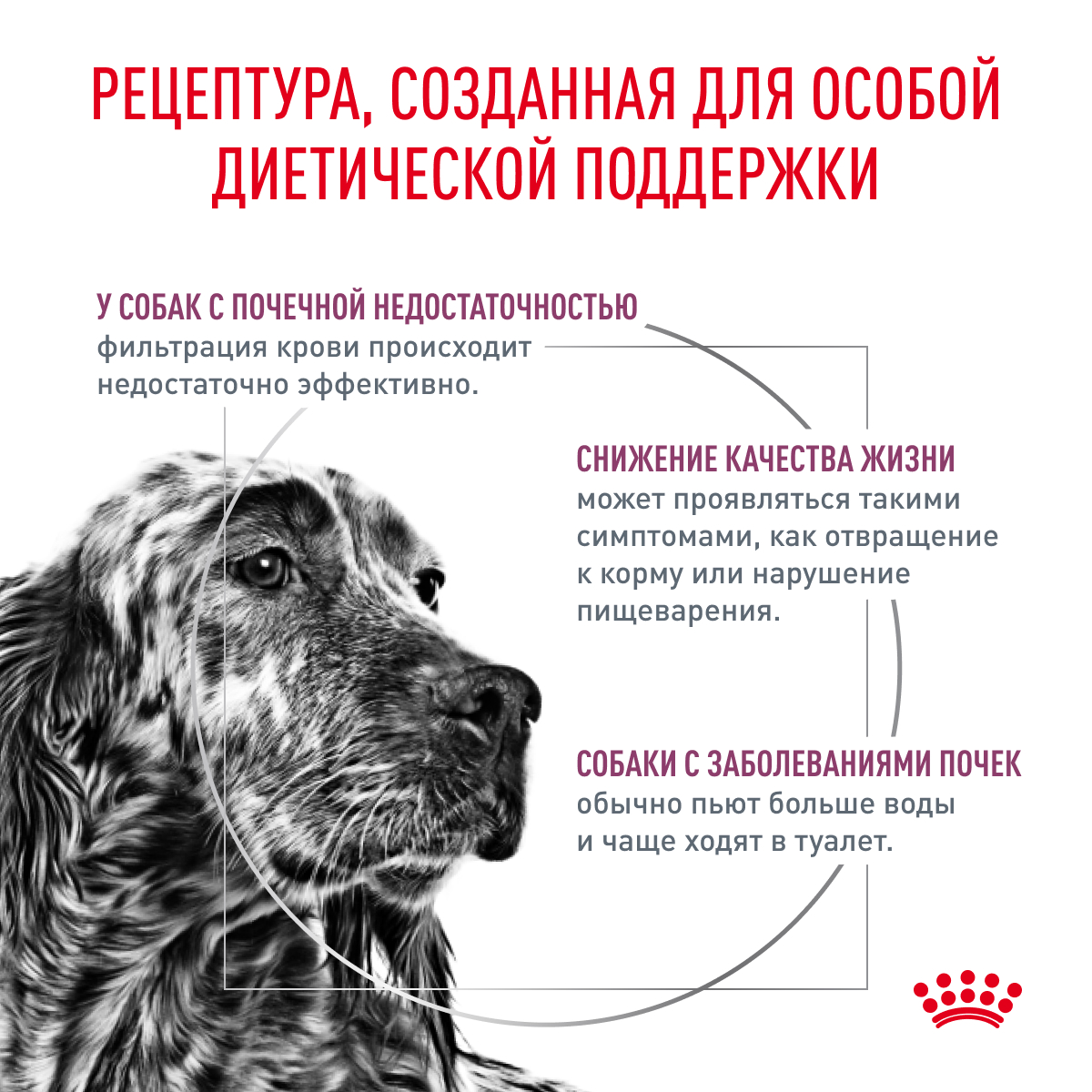Корм для собак ROYAL CANIN Renal RF 14 Canine для поддержания функции почек, сух.