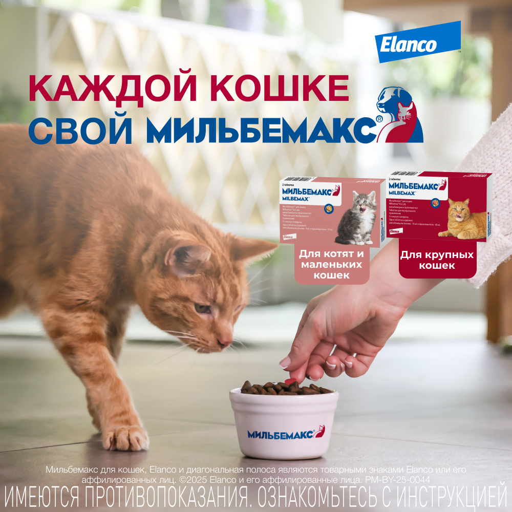 Антигельминтик для котят ELANCO Мильбемакс (2кг), 2 таблетки