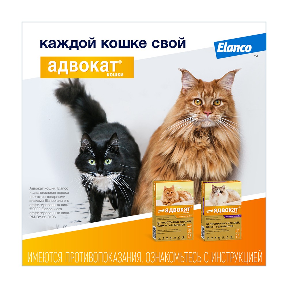 Капли для кошек ELANCO Адвокат от чесоточных клещей, блох и гельминтов (4-8кг веса) 0,8мл,1 пип.в уп.
