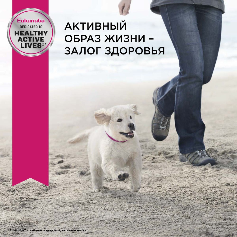 Корм для щенков EUKANUBA для средних пород сух.