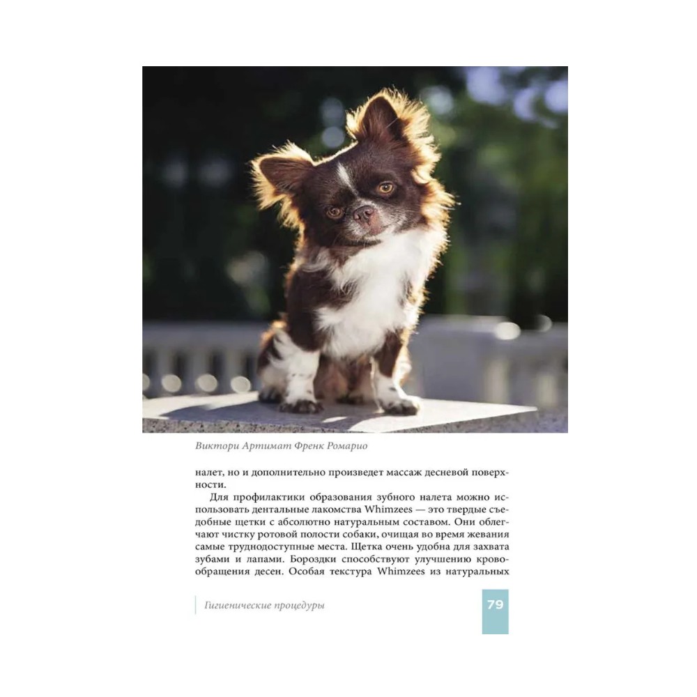 Книга DOG-ПРОФИ "Чихуахуа"