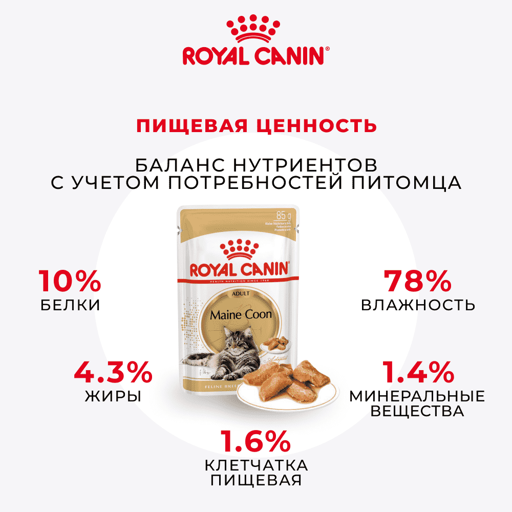Корм для кошек ROYAL CANIN Maine Coon Adult для породы Мэйн Кун, мясо в соусе пауч