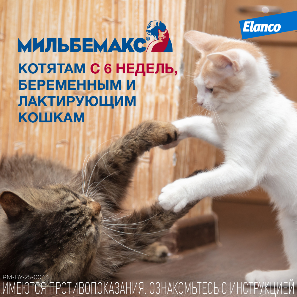 Антигельминтик для кошек ELANCO Мильбемакс (4-8кг), 2 таблетки