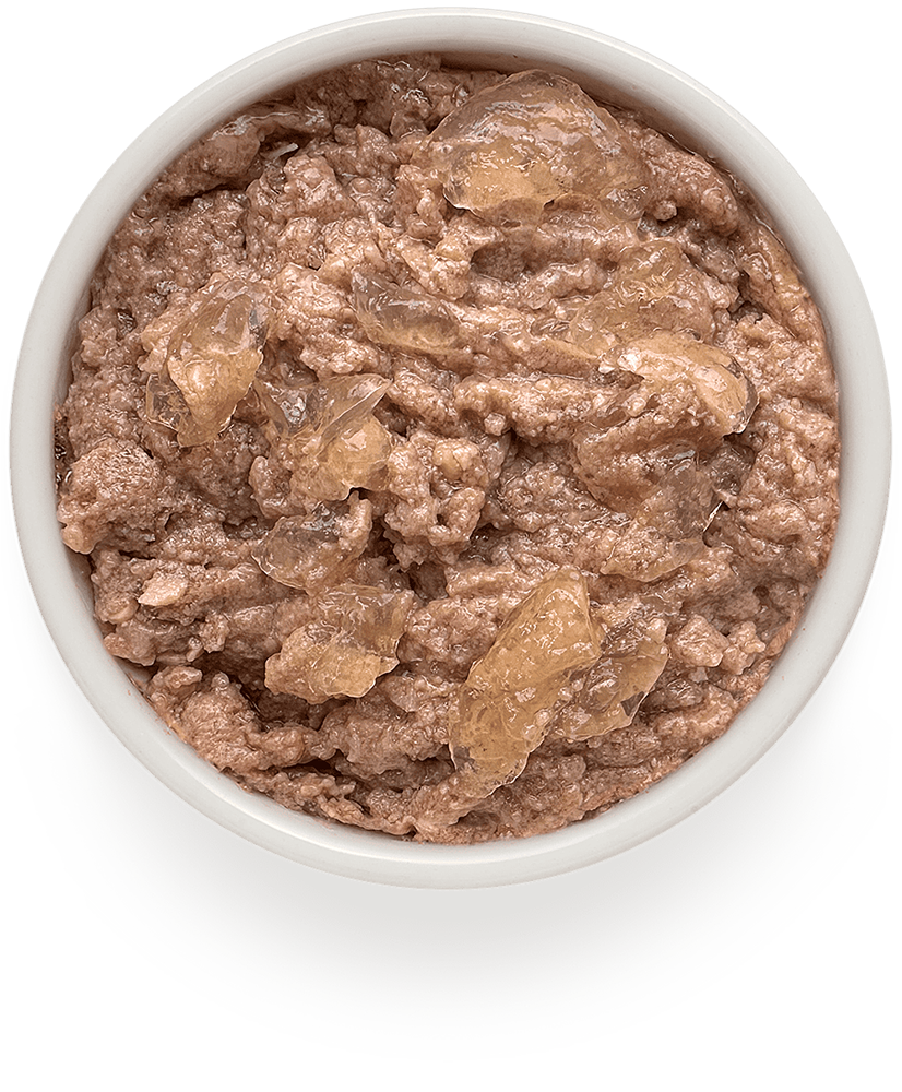 Корм для собак GRANDORF FRESH Паштет из утки банка