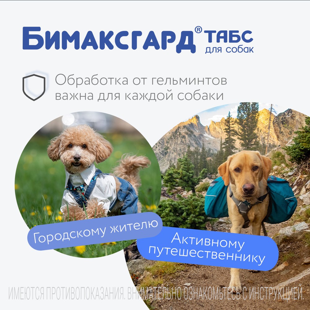 Антигельминтик для для крупных собак NEOTERICA Бимаксгард ТАБС, 2 таб.(более 5кг)