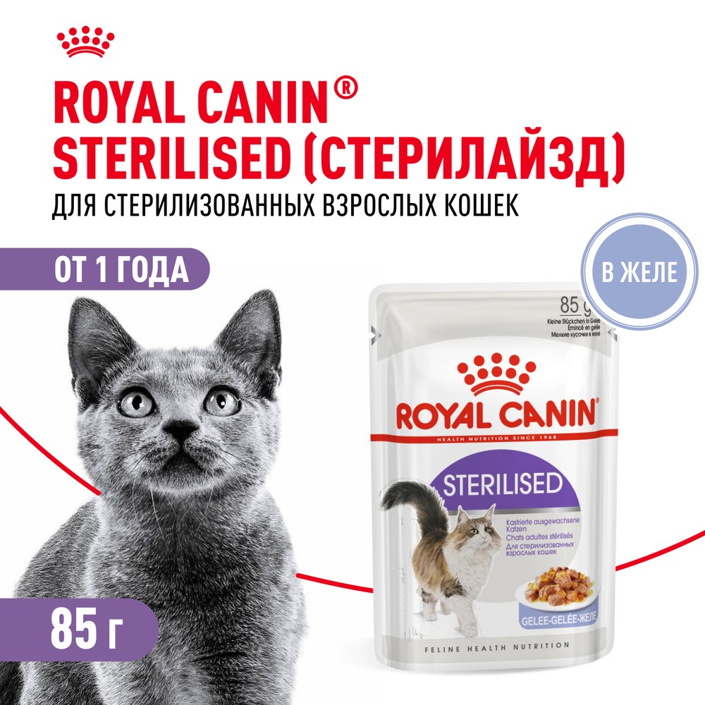 Корм для кошек ROYAL CANIN Sterilised для стерилизованных, мясо в желе пауч