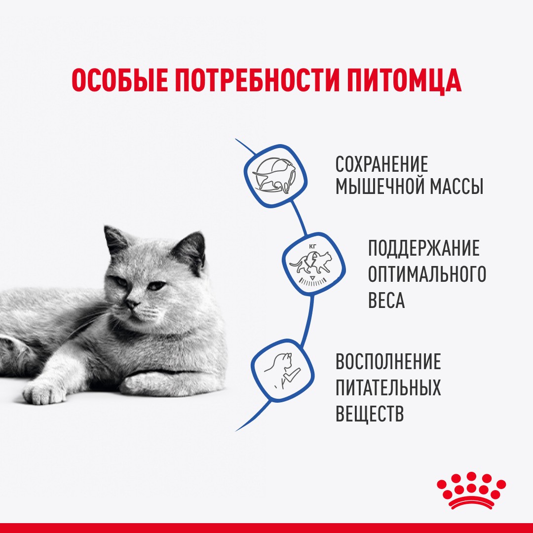 Корм для кошек ROYAL CANIN Light Weight Care для контроля веса, мелкие кусочки в желе пауч