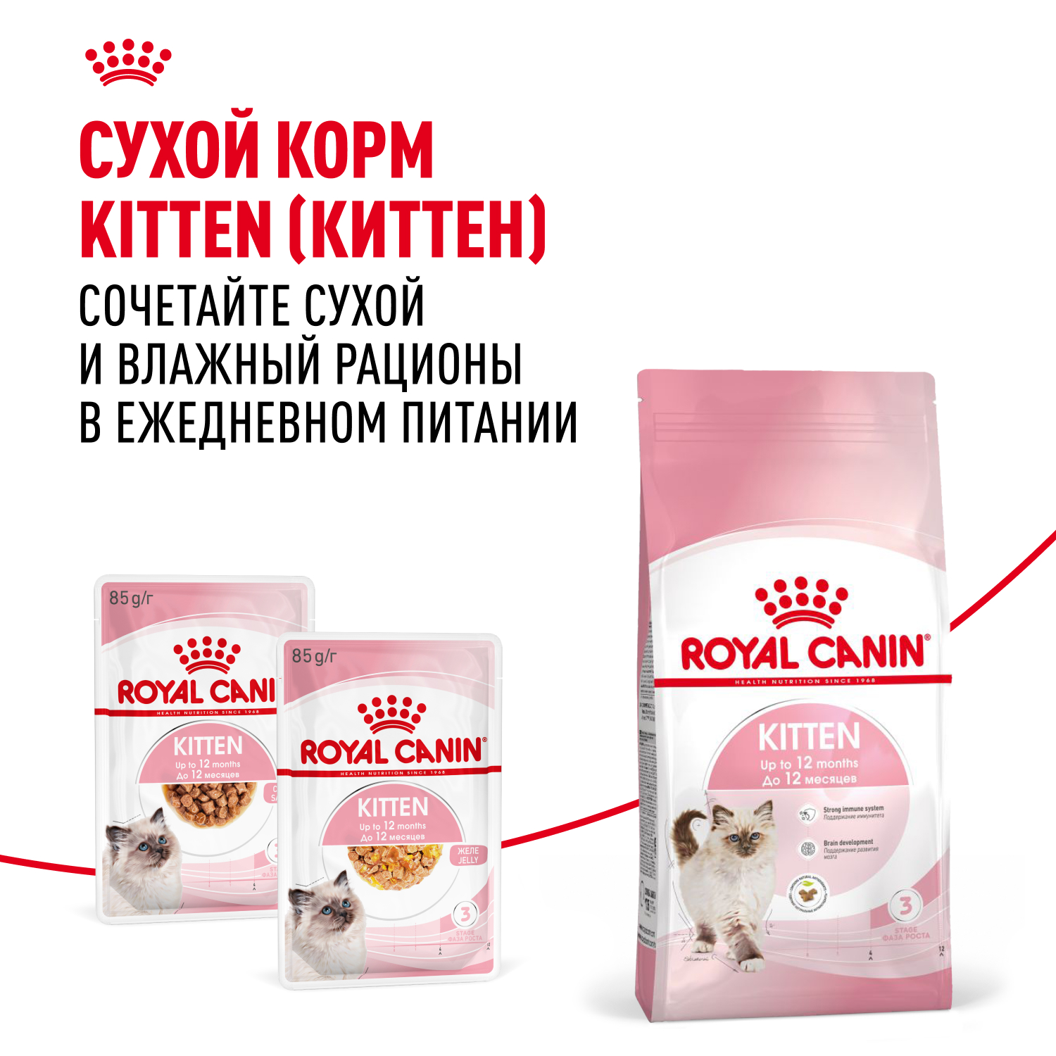 Корм для котят ROYAL CANIN в период третьей фазы роста, мясо в желе пауч