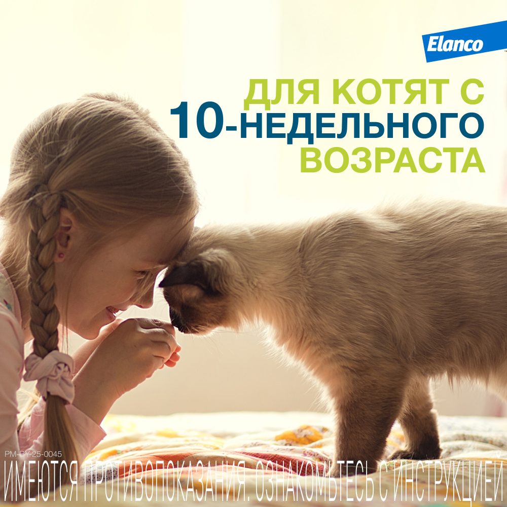 Ошейник для кошек ELANCO Форесто от клещей, блох и вшей, защита 8 месяцев
