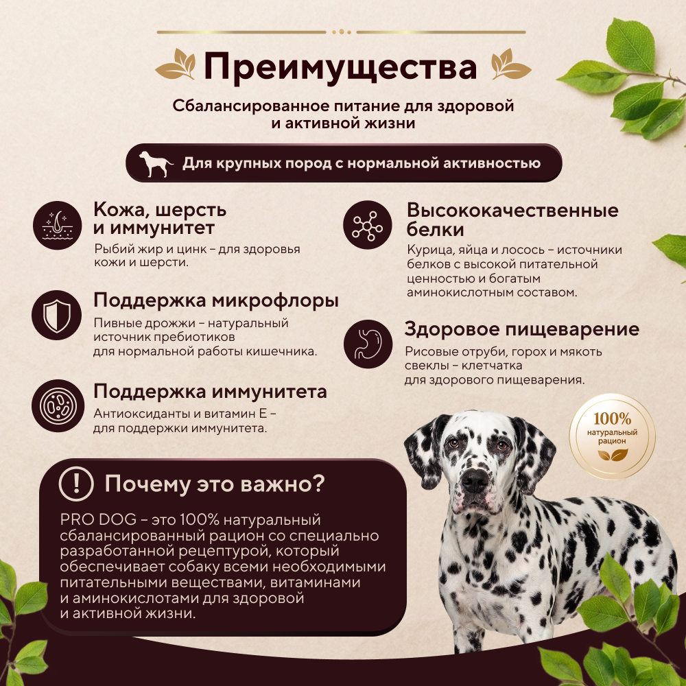 Корм для собак PRO DOG для крупных пород с нормальной активностью, курица сух.