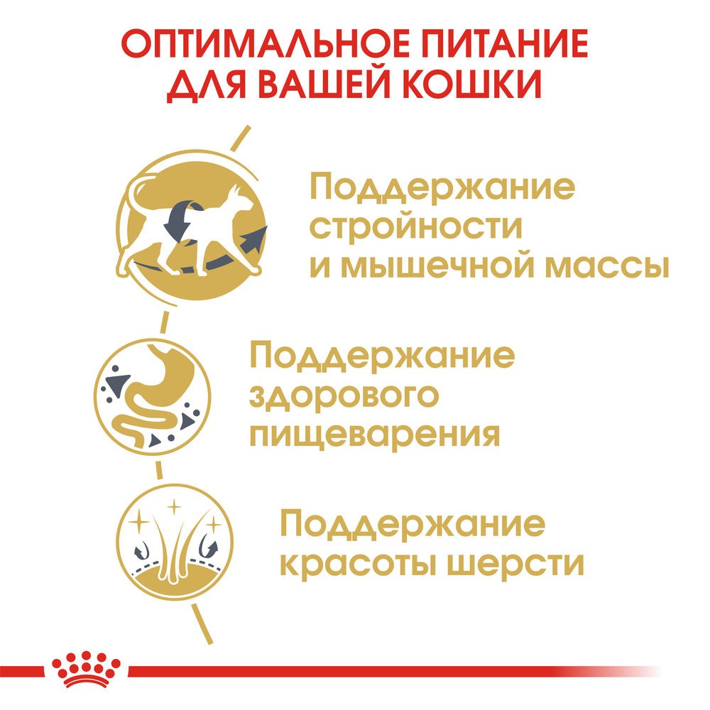 Корм для кошек ROYAL CANIN Siamese сбалансированный для Сиамской породы от 12 мес сух.