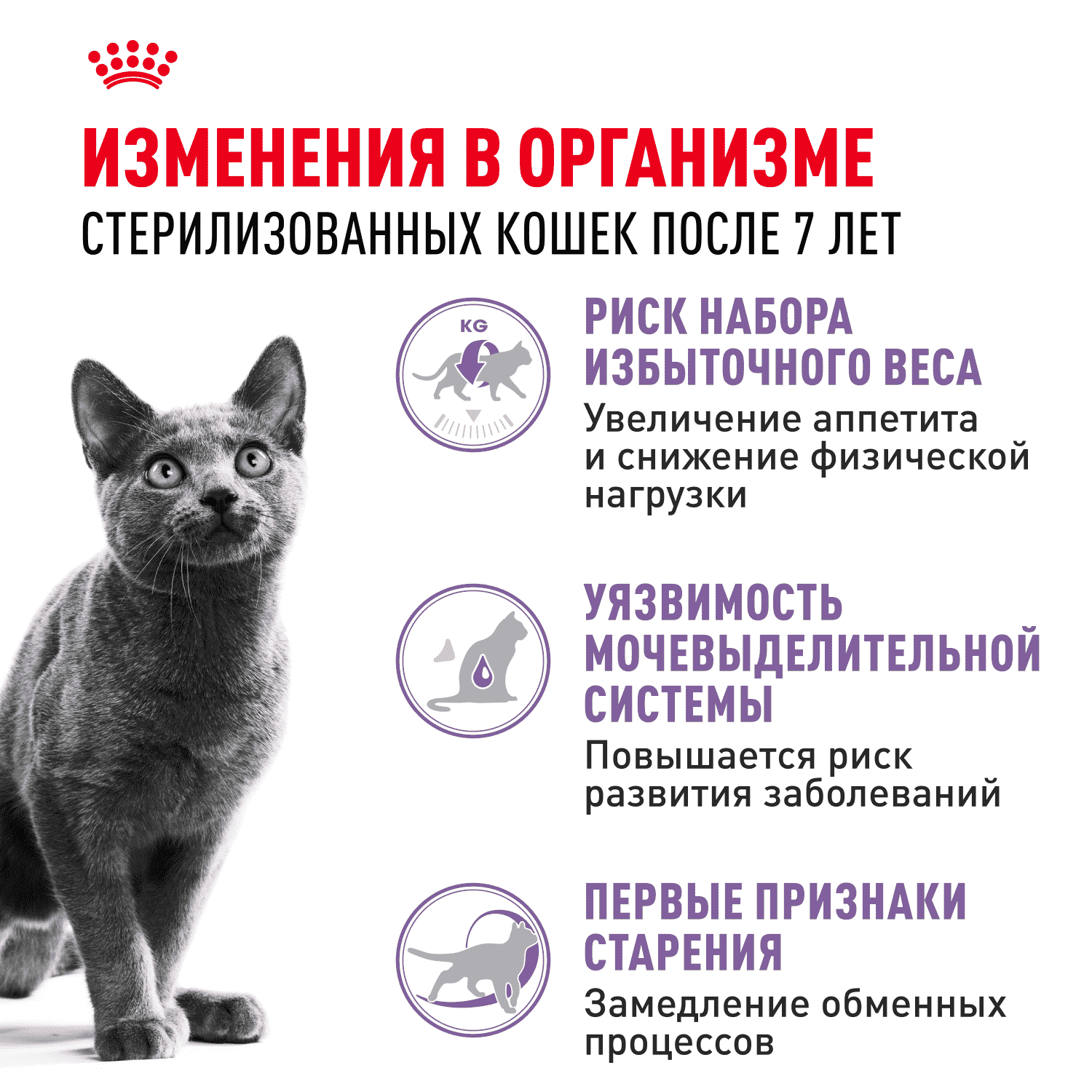 Корм для кошек ROYAL CANIN Sterilised 7+ сбалансированный для стерилизованных сух.
