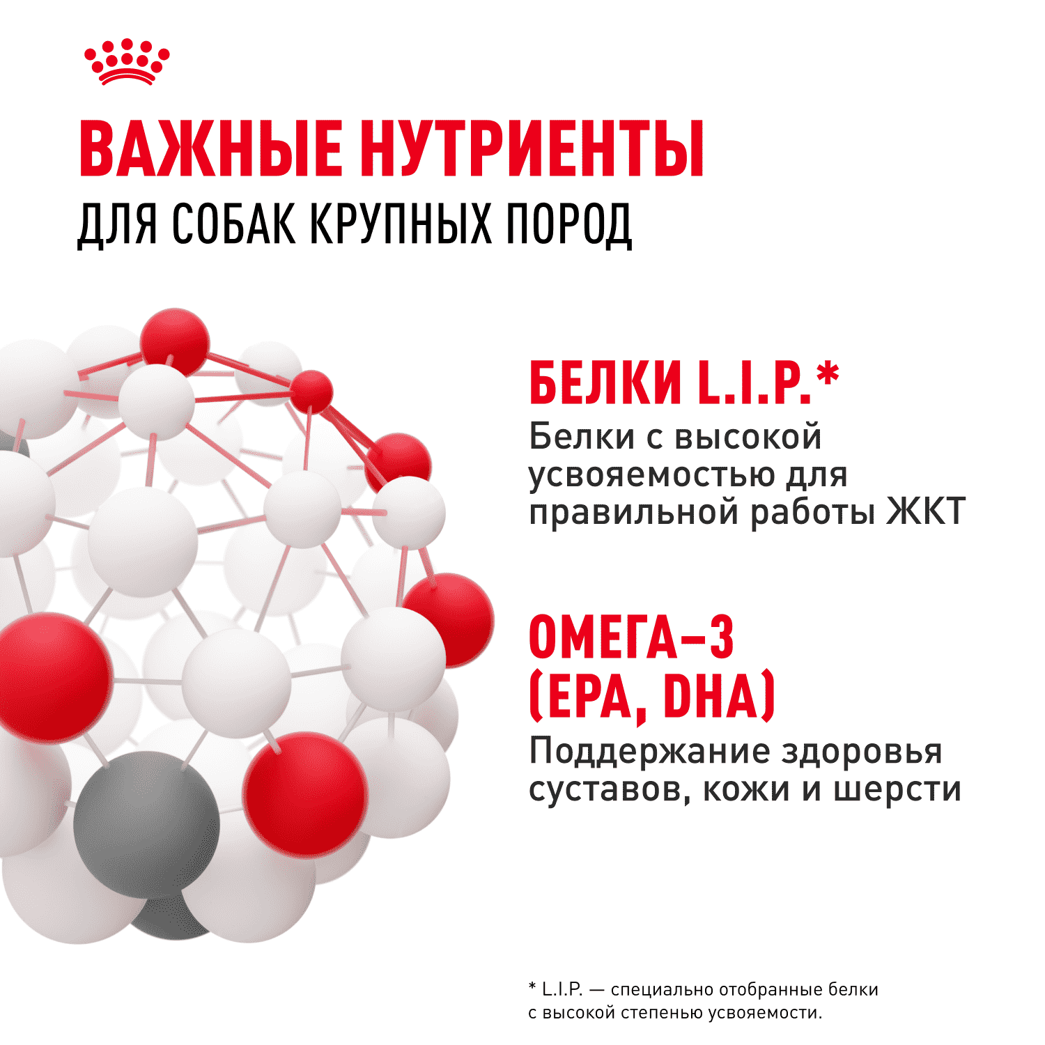 Корм для собак ROYAL CANIN Maxi Adult для крупных пород от 15 месяцев до 5 лет, сух.