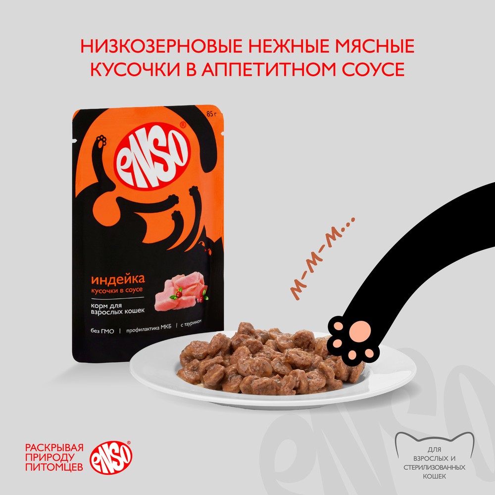 Корм для кошек ENSO кусочки в соусе с индейкой пауч
