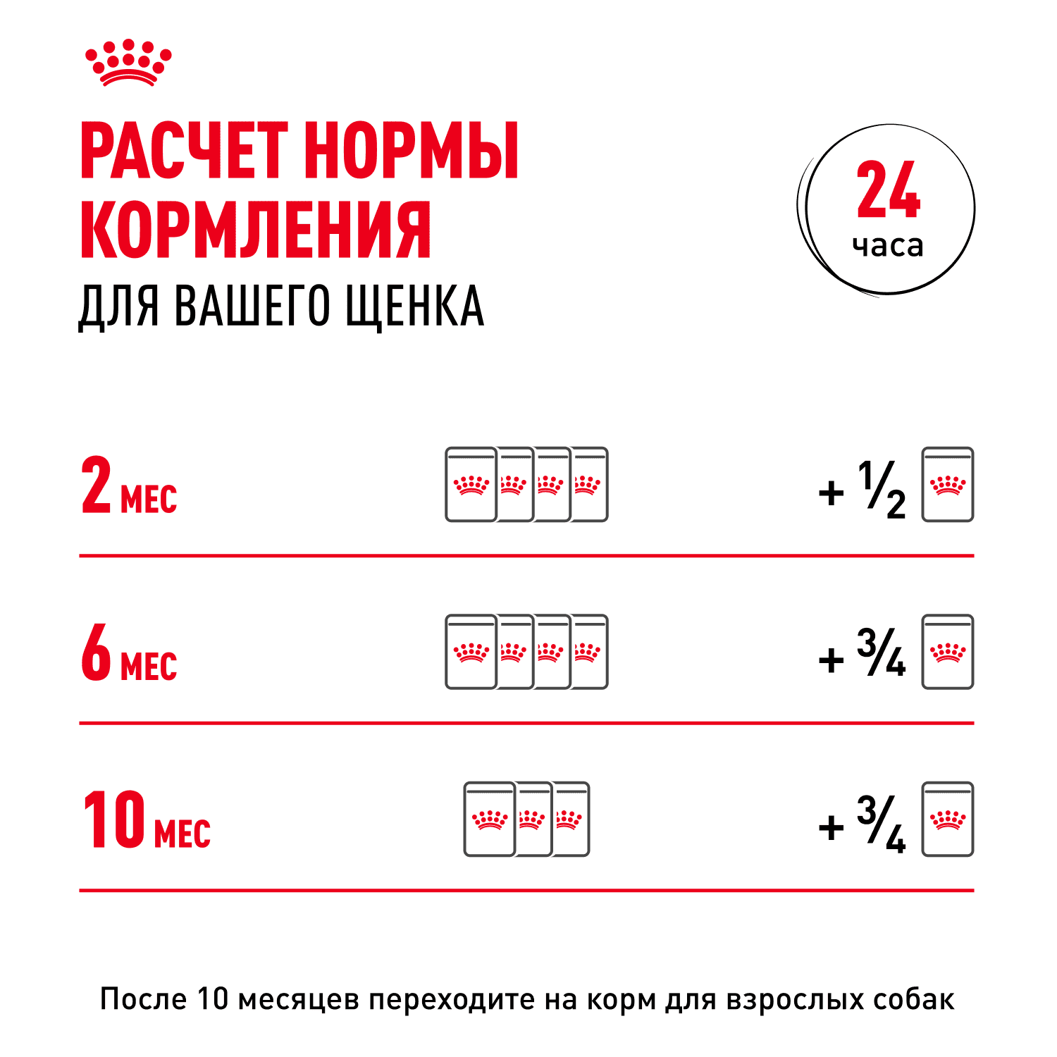 Корм для щенков ROYAL CANIN Mini для мелких пород до 10 месяцев, кусочки в соусе пауч