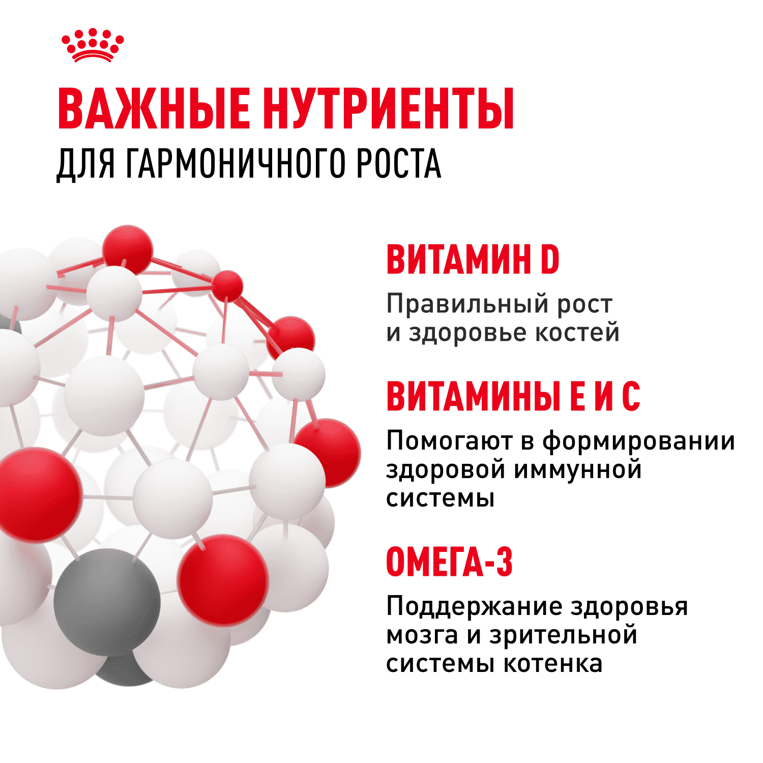 Корм для котят ROYAL CANIN сбалансированный в период второй фазы роста сух.