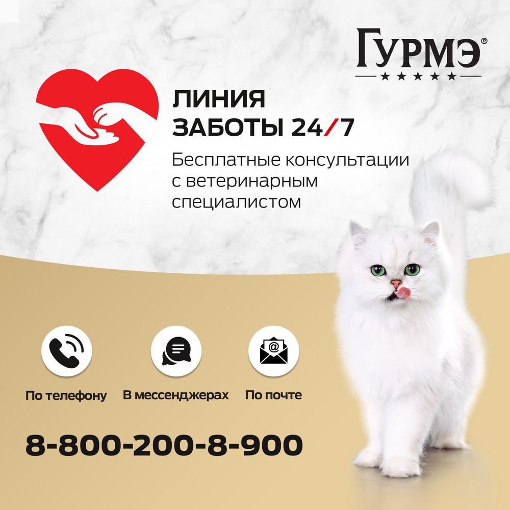 Корм для кошек ГУРМЭ Желе Де-Люкс с лососем в желе пауч