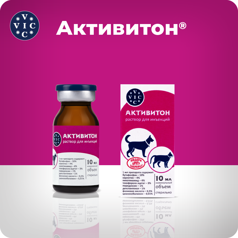 Препарат витаминно-минеральный DOCTOR VIC Активитон, 10мл