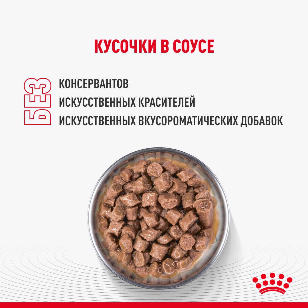 Корм для котят ROYAL CANIN Kitten Sterilised для стерилизованных от 6 мес., кусочки в соусе пауч