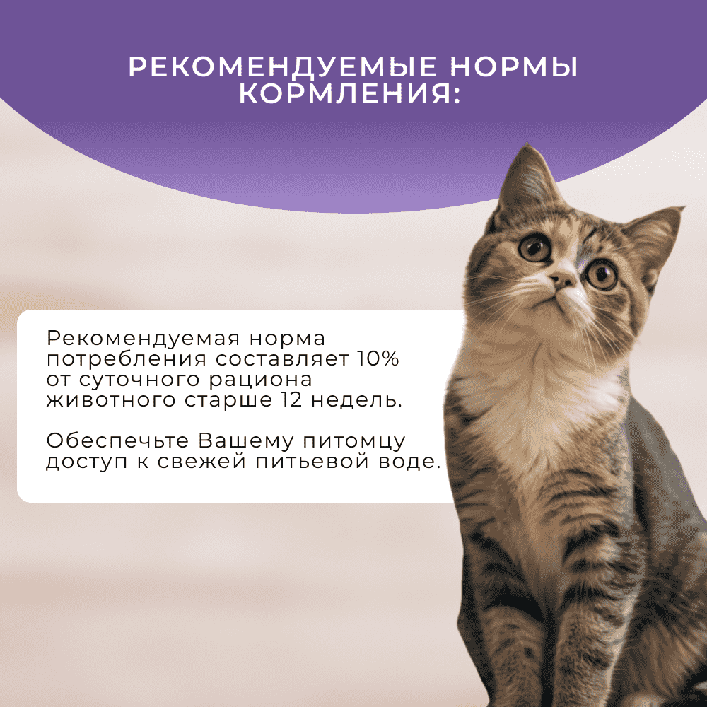 Лакомство для кошек ОБЖОРКА Хрустящие подушечки с паштетом с мясом ягненка