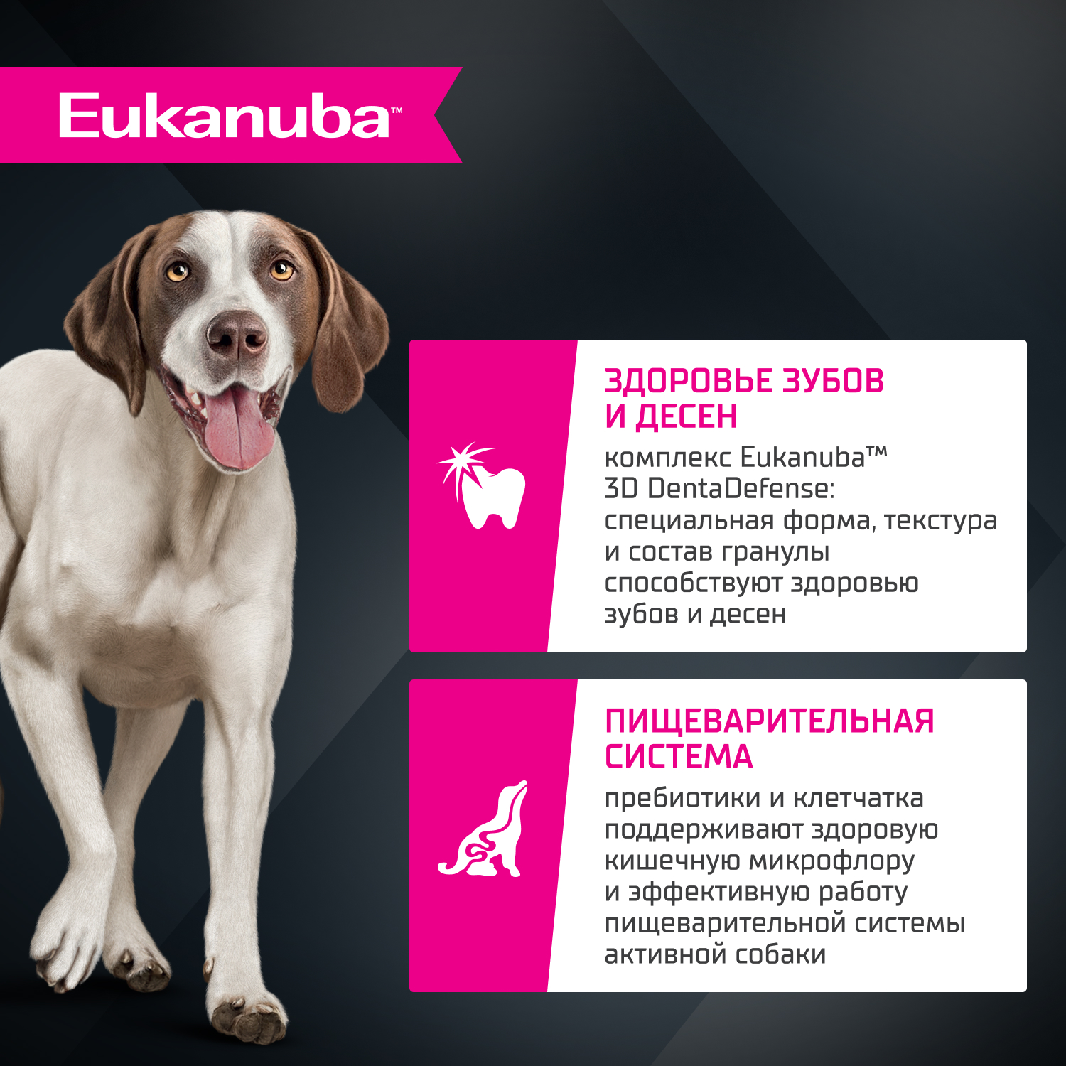 Корм для собак EUKANUBA для крупных и очень крупных пород, ягненок сух.