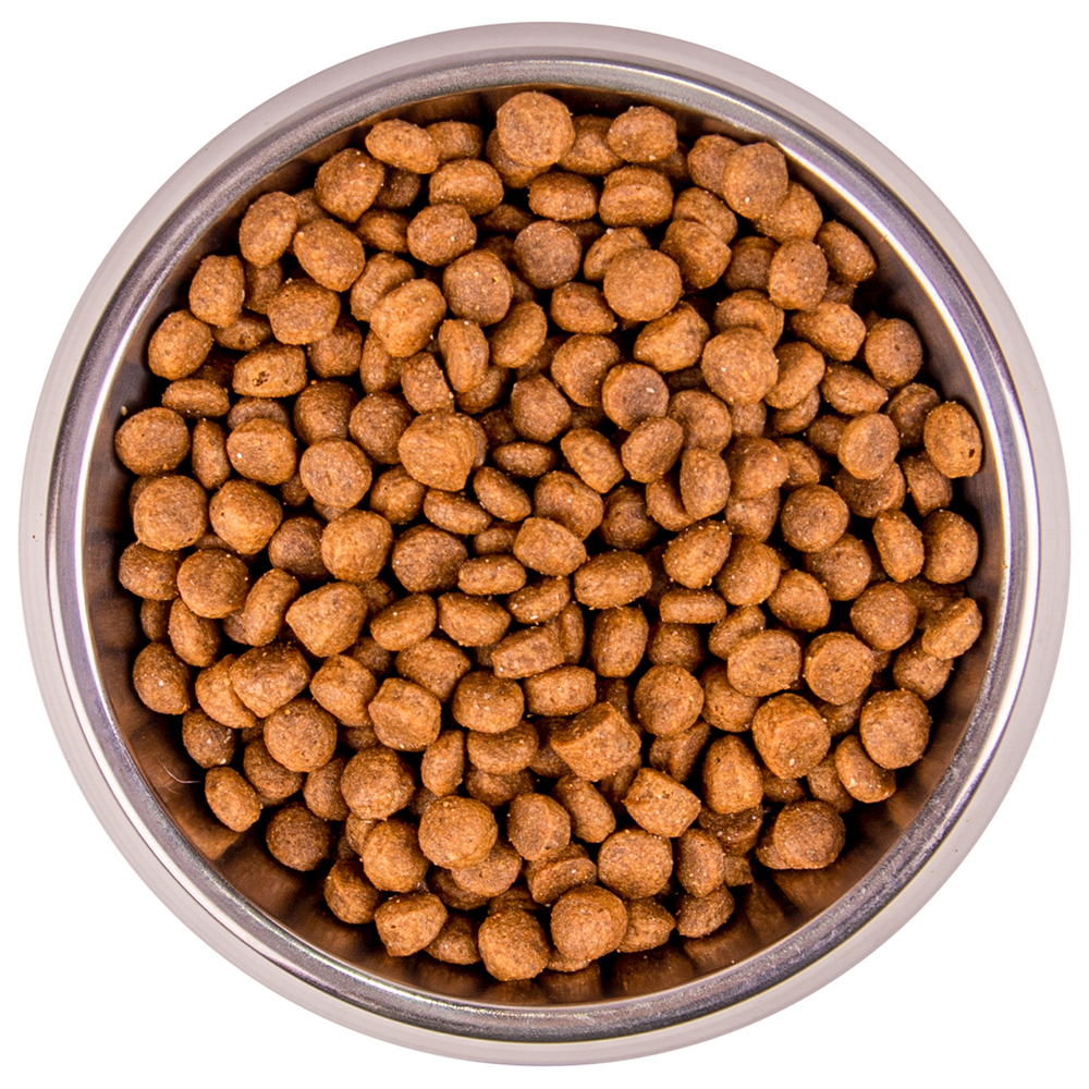 Корм для котят и кошек MONGE Cat BWild Grain Free для крупных пород, мясо буйвола сух.