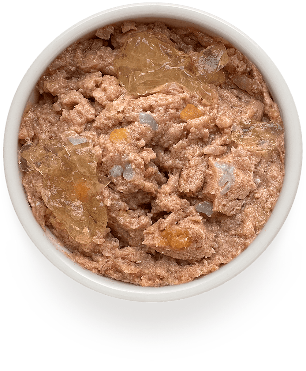 Корм для собак GRANDORF FRESH Паштет из утки с бататом и цветной капустой банка