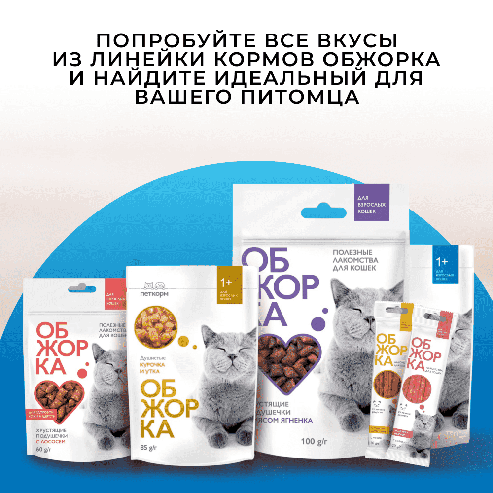 Корм для кошек ОБЖОРКА кусочки в соусе с лососем пауч
