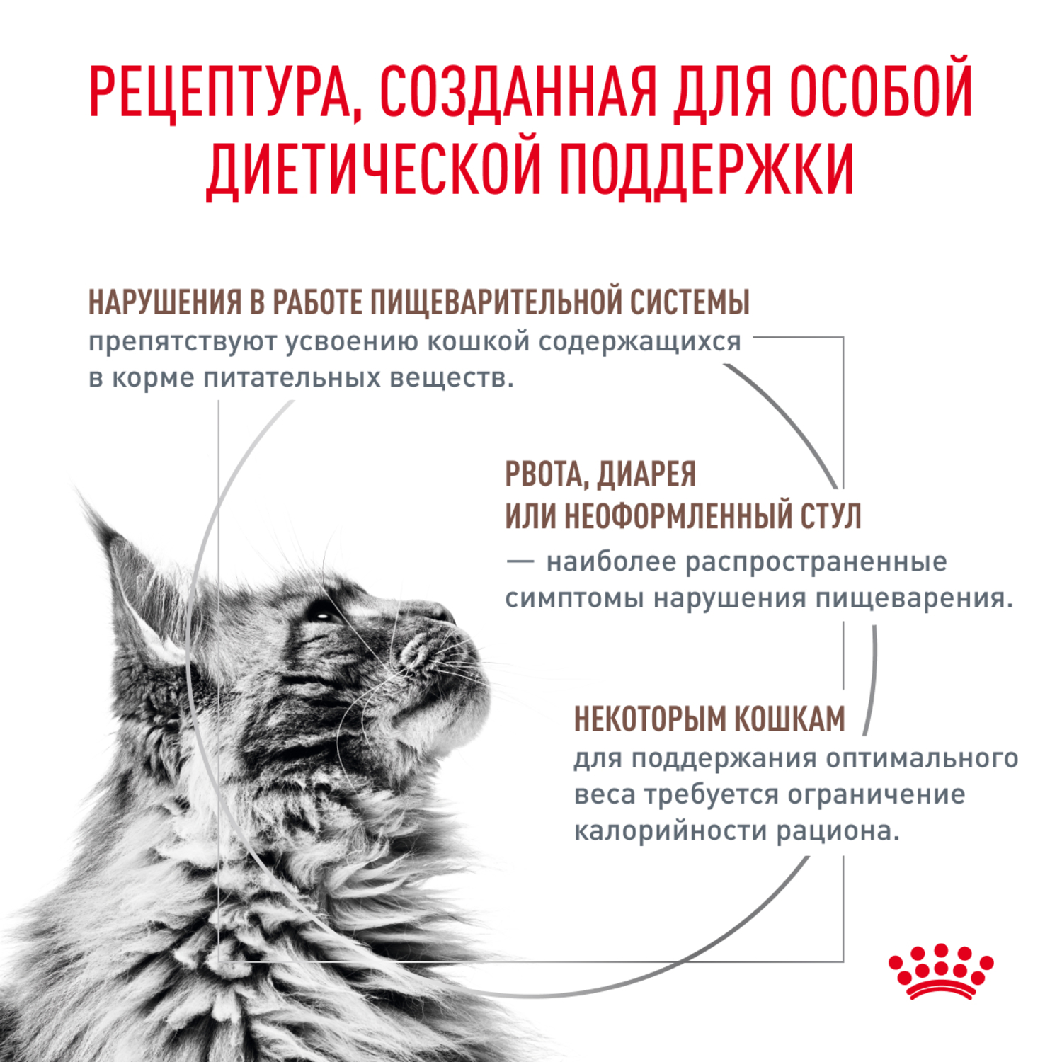 Корм для кошек ROYAL CANIN Gastrointestinal Moderate Calorie при расстройствах пищеварения сух.
