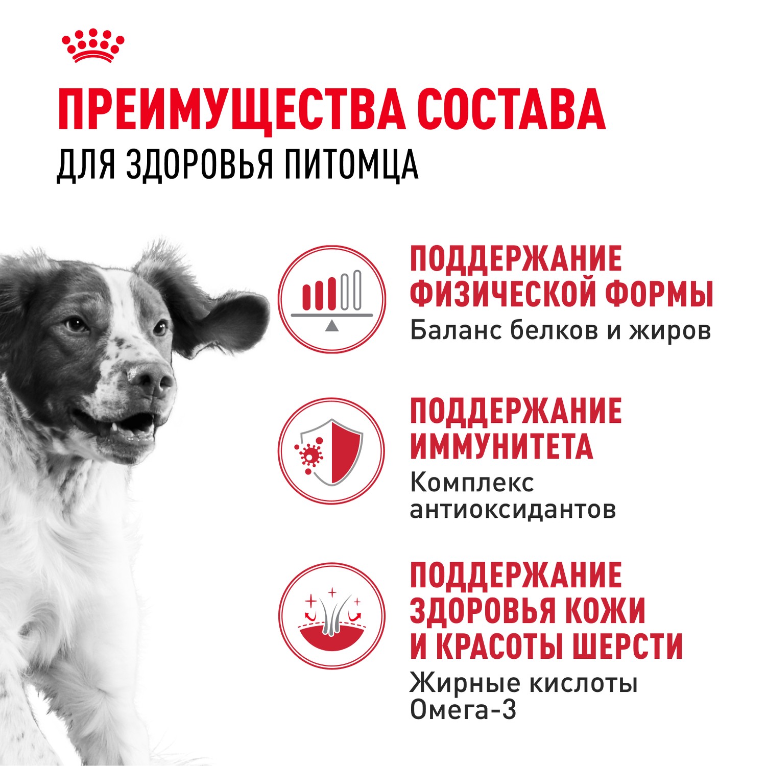Корм для собак ROYAL CANIN Medium Adult для средних пород от 12 месяцев сух.